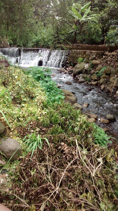 Photos of El Pozito