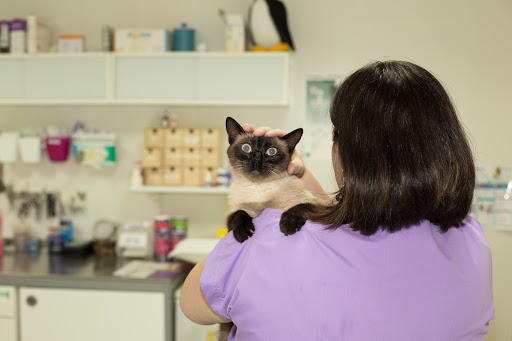 Clínica veterinaria Zarpas
