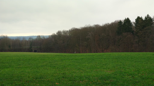 Waldpavillon Rott