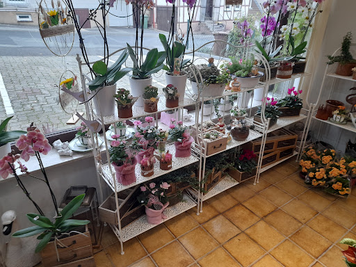 Blumen und Bestattungen, Andrea Czech