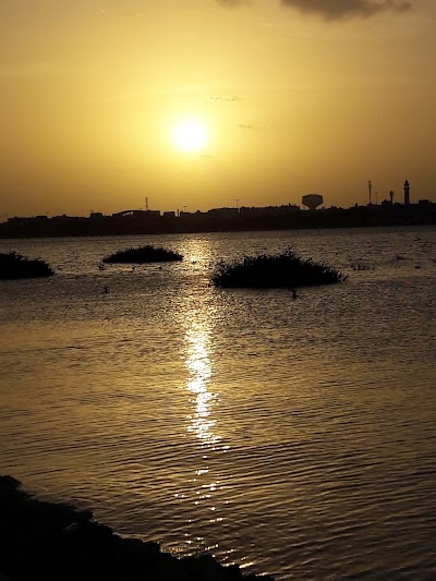 Photos of Arad Fort Beach Park