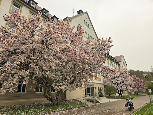 Kantine MEDIAN Klinik Wilhelmsheim - Thumbnail