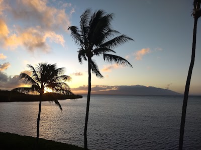 Molokai Wavecrest