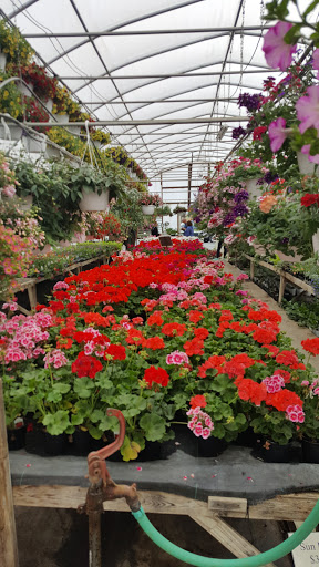 Weaver Farm Supplies - Thumbnail