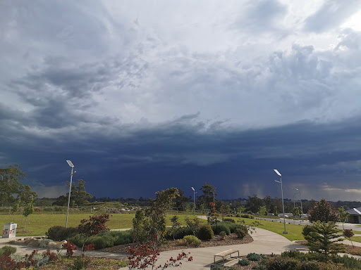Ferntree Park - Thumbnail