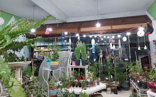 Star Garden .ar jardín de estrellas - Foto 1