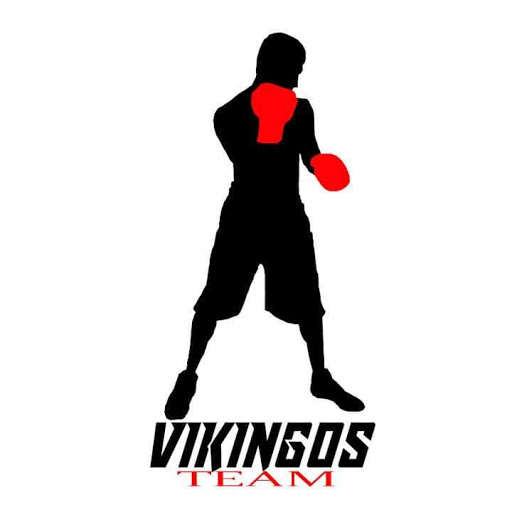 Vikingos Team Box - Thumbnail