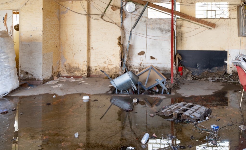 Thompson Water Damage photo