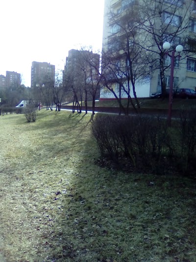 Photos of Gruppa Kompaniy Megasiti