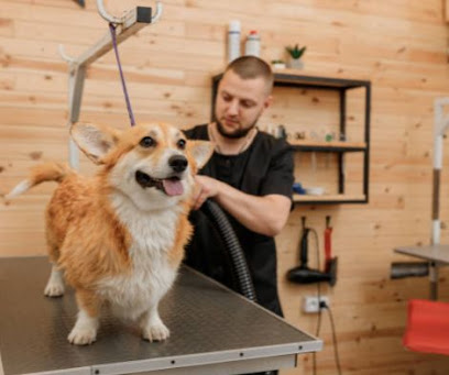 Dog Daddy Grooming & Companionship