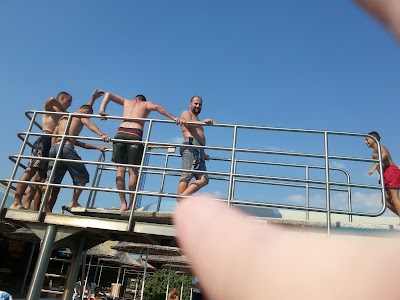 Photos of The Fair