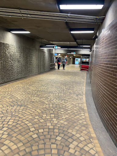 Station Pie-IX - Visual