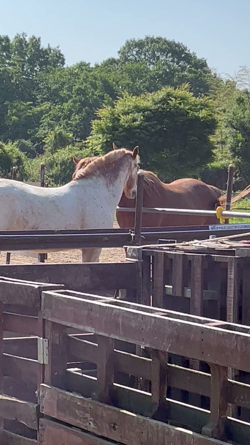 ハッピーホースファーム