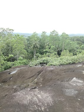 Kodigaha Kanda Sanctuary, Author: Shashindu Viranga