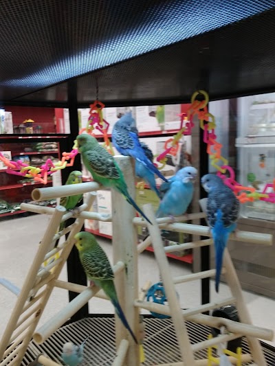 Petco