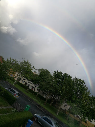 Balgonie Avenue - Thumbnail