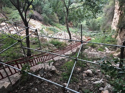 Photos of Jiushan Dingshi Yingsha Yanfenglin Scenic Area