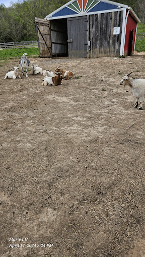 Piccolo farms animal sanctuary extension Gallery - United States