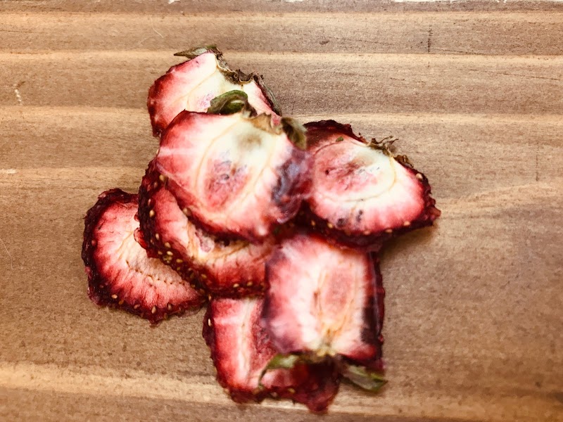 うさぎカフェ chocolate otter