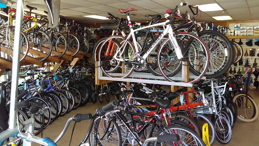 Bicycle Spot - Visual