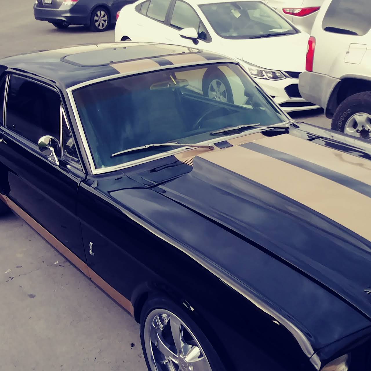 Riveras auto body repair and detail Auto Body Shop in San Jose