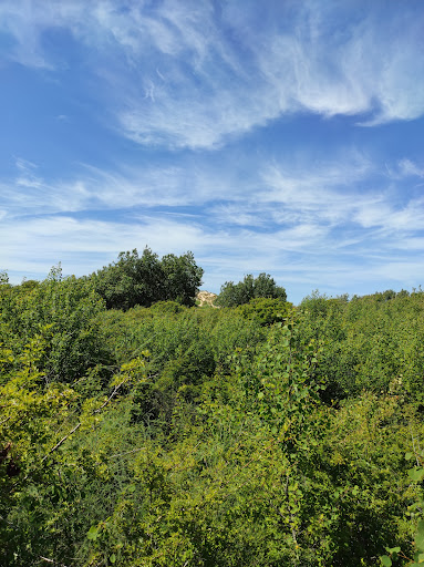 Sentier des Fauvettes - Thumbnail
