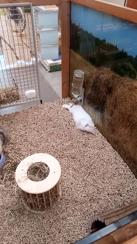Beoordelingen van Maxi Zoo Melle in Gent - Winkel