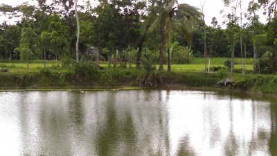 Photos of চন্দ্রহার বাজার