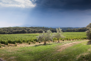 Photo n°1 de A Wine Affair à Uzès (Voyagiste)