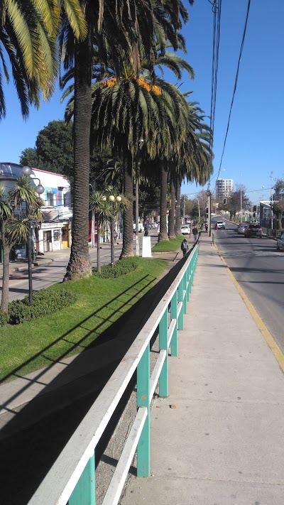 Photos of Quilpu&eacute;