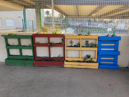 CEIP El Coto Gallery - Spain