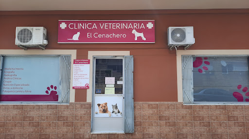 Clínica Veterinaria "El CENACHERO"