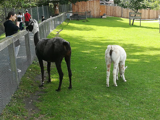Vogelpark Schotten