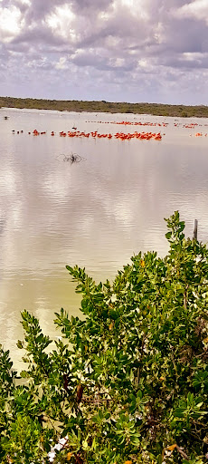 Tours and Fishing El Cuyo, Yucatán Gallery - Mexico