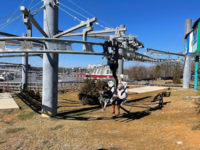 Rowdy Bear Mountain Coaster