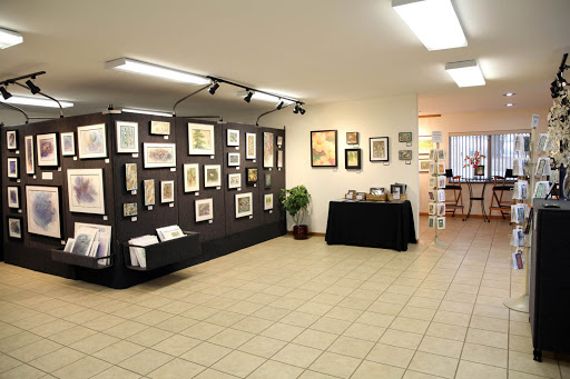 Sue Johnson Fine Art