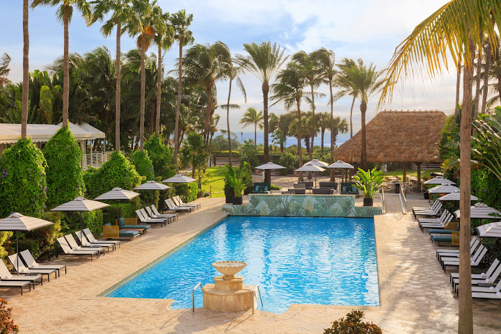 Kimpton Surfcomber Hotel by null