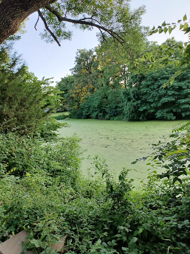 Hutchins Park - Thumbnail