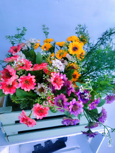 PHOTO STUDIO "TLALPAN" - Thumbnail
