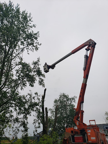 RJ'S Tree Care