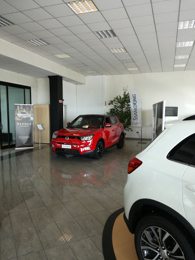 RF MOTORS - VENDITA E ASSISTENZA - Thumbnail