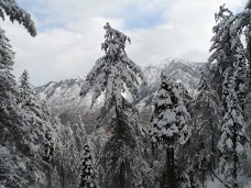 Bara Gali Summer Camp, University of Peshawar nathia-gali