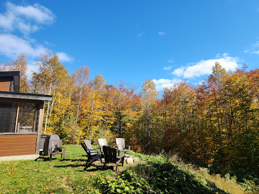 Chalet Orkidea - Visual