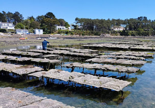 Photo n°18 de Les huitres du Guern à Baden (Magasin)