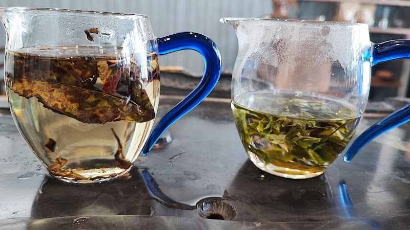 World Tree Tea＆Coffee -世界樹のお茶-