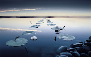 Photo n°2 de Un Léger Décalé à Dinan (Centre de bien-être)