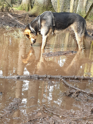 Hundeauslaufzone Tangstedter Forst - Thumbnail