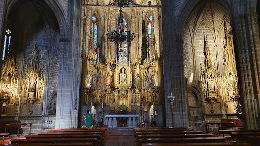 Trip Navarra, Tours y Visitas Guiadas. Freetour. Pamplona - Thumbnail