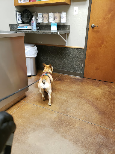 Riverstone Veterinary Hospital - Thumbnail