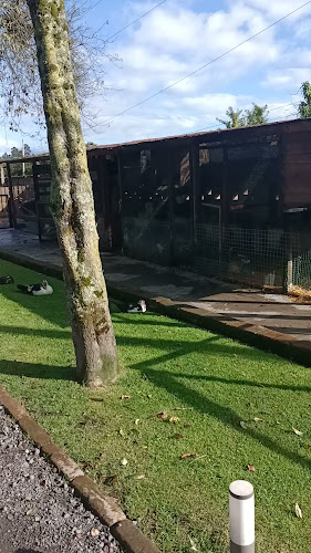 Hostería PapaGayo Cotopaxi